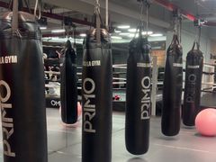 -花环泰拳·勒德斯拉泰拳馆(静安店)