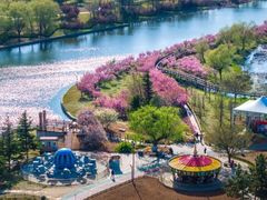 -羊亭河湿地公园