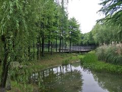 -尚贤河湿地