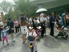 -辛玛王国游乐园