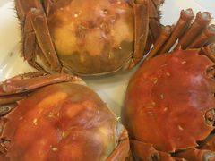 -王宝和酒家(黄浦店)
