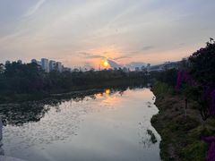-五甲塘生态湿地公园
