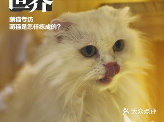 宠物也要美美哒～开心快乐每一天～