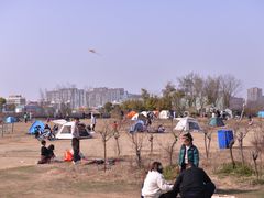 -南湖国家城市湿地公园