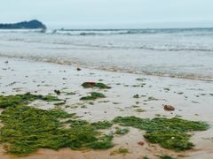 景点-青岛石老人海水浴场