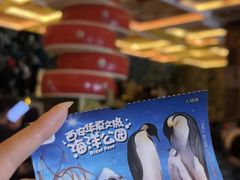 -《驼铃传奇》秀