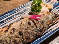 -鸟屯(三里屯店)