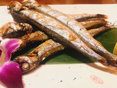 -鱼跃料理(步步高店)