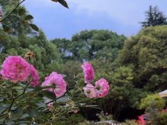 -乖乖佳花园山庄·私房菜(阿哈湖公园店)