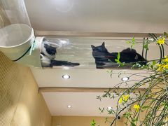 -萤火虫咖啡(后海店)