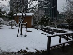 -新虹桥中心花园