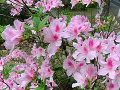 -华南国家植物园-售票处