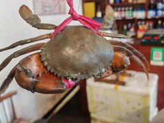-瑞丽活螃蟹(芒市店)