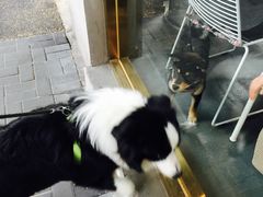 -KYO COFFEE(胶州路店)