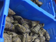 -金太粽(上海弄堂第一粽店)