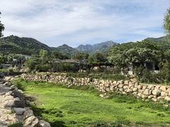 -泰山风景名胜区-虎山公园