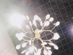 -ZING COFFEE 镜咖啡