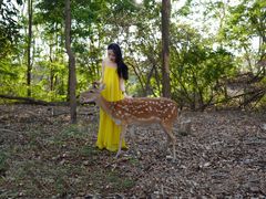 -Chom Cafe and Restaurant