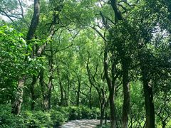 -宁波市保国寺古建筑博物馆