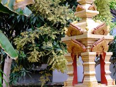 -西双版纳傣族园