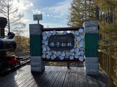 -莫尔道嘎国家森林公园