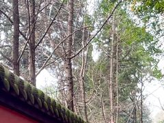 -星巴克(成都锦里店)