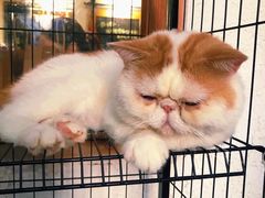 -猫爷的腔调·黔小馆(交大医学住宅区店)