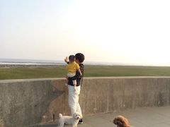 -南汇嘴观海公园