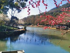 -八卦田遗址公园