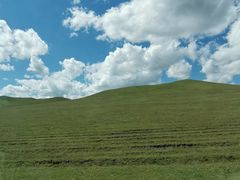 -御道口草原森林风景区