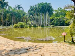 -中国科学院西双版纳热带植物园