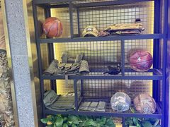 -真枪会射击俱乐部(河西中央公园店)