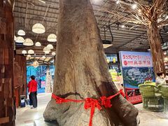 -大树头·森林餐厅(石碁店)