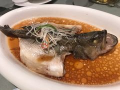 -扬州万怡酒店-中餐厅(文昌中路店)