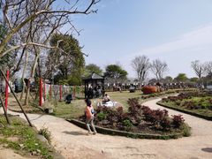 -武汉紫薇都市田园