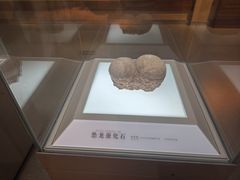 -信阳博物馆