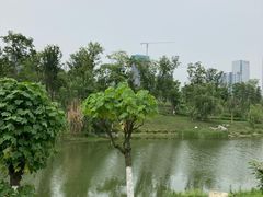 -桂溪生态公园