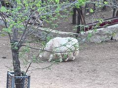 -石家庄市动物园