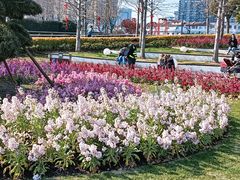 -北外滩滨江绿地