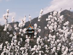 -居庸关长城