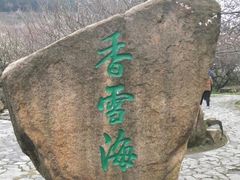 -香雪海