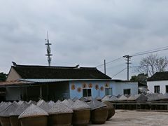 -苏州市吴中区光福窑上花果蜜饯厂