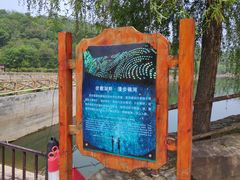 -伏羲大峡谷