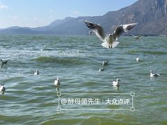 -滇池海埂公园