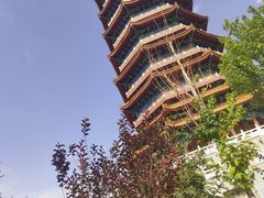 -金城公园