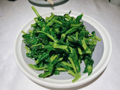 清炒豌豆尖-雲蜀龙阁·金牌水煮鱼(方庄店)