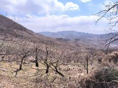 -棋盘山风景区