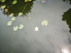 -檀园