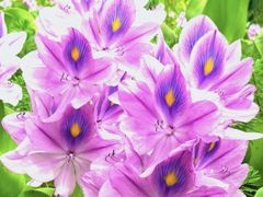 -白鹭湾湿地公园