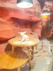 -Zoolung Zoolung动物主题公园(海信广场店)